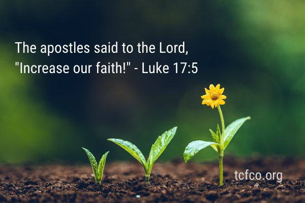 Lord Increase Our Faith